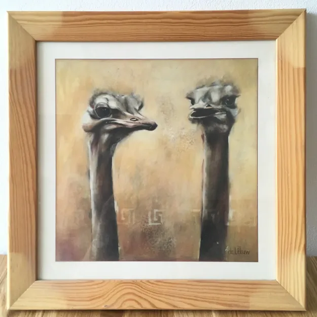 Obraz - Strusie (36 x 36 cm)
