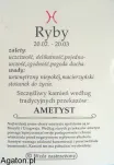 RYBY - Szczęśliwy kamień zodiaku z zawieszką - AMETYST - 2
