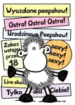 karnet B6 Kukartka - PROMOCJA ponad 100 wzorów - 12