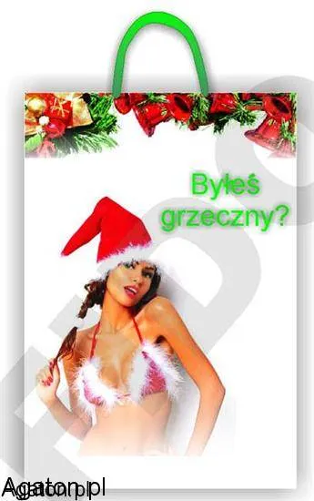 Torebka XL - Byłeś grzeczny ?