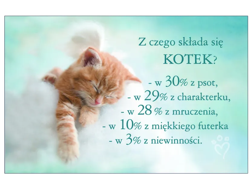 Karta kredytowa - Z czego składa się kotek?