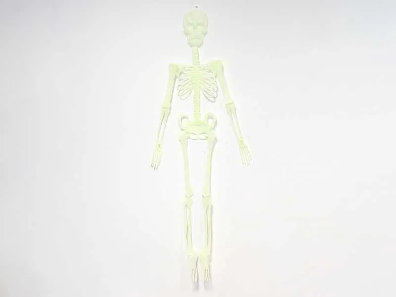 Kościotrup 150 cm - szkielet człowieka fluo świecący w nocy