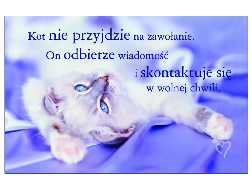 Karta kredytowa - Kot nie przyjdzie na zawołanie. On odbierze wiadomość i skontaktuje się w wolnej chwili