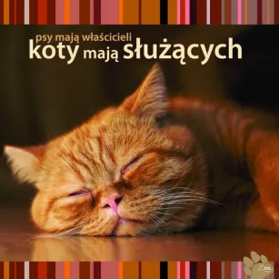 Magnes - Psy mają właścicieli. Koty mają służących.