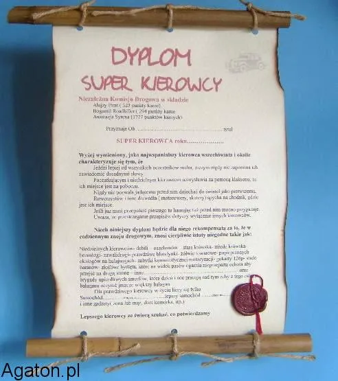 Dyplom z bambusem - Super kierowca