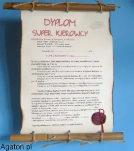 Dyplom z bambusem - Super kierowca