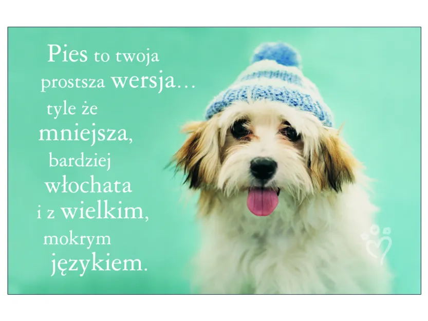 Karta kredytowa - Pies to twoja prostsza wersja ... tyle, że mniejsza, bardziej włochata i z wielkim mokrym językiem