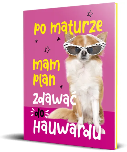 Brulion A5 linia, 96 kartek - Po maturze mam plan zdawać do Hauwardu