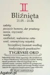 BLIŻNIĘTA - szczęśliwy kamień zodiaku z zawieszką - TYGRYSIE OKO - 2