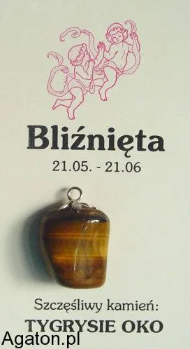 BLIŻNIĘTA - szczęśliwy kamień zodiaku z zawieszką - TYGRYSIE OKO