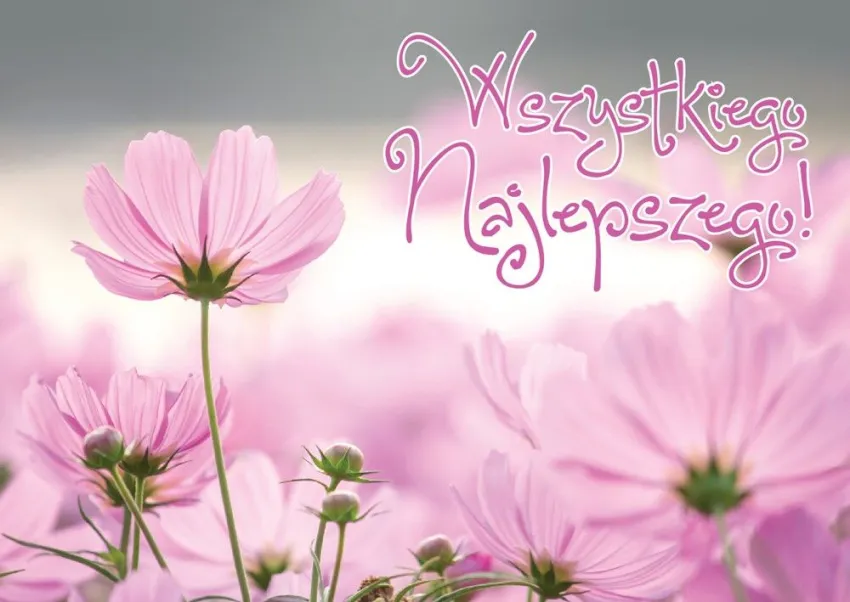 Karnet 3D - Wszystkiego najlepszego (ogólne bez życzeń)