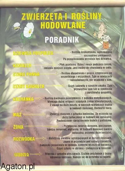 Dyplom - Poradnik hodowcy - m.in. dziewica pospolita, stary kawaler ... itp.