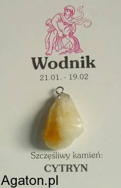 WODNIK - Szczęśliwy kamień zodiaku z zawieszką - CYTRYN