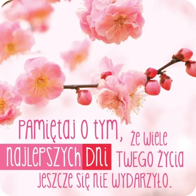 Magnes - Pamiętaj o tym, że wiele najlepszych dni twego życia jeszcze się nie wydarzyło.