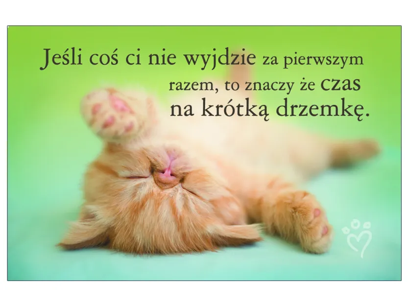 Karta kredytowa - Jeśli coś ci nie wyjdzie za pierwszym razem, to znaczy że czas na krótką drzemkę.