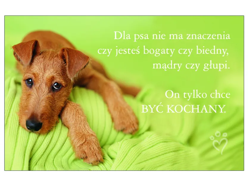 Karta kredytowa - Dla psa nie ma znaczenia czy jesteś bogaty czy biedny, mądry czy dłupi. On tylko chce BYĆ KOCHANY.