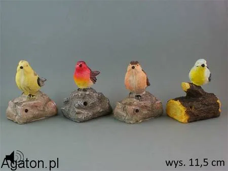 Ptaszek z pozytywką