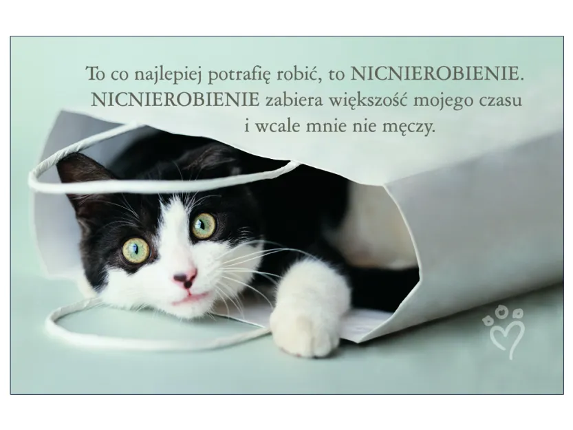 Karta kredytowa - To co najlepiej potrafię robić, to nicnierobienie. Nicnierobienie zabiera większość mojego czasu i wcale mnie nie męczy.